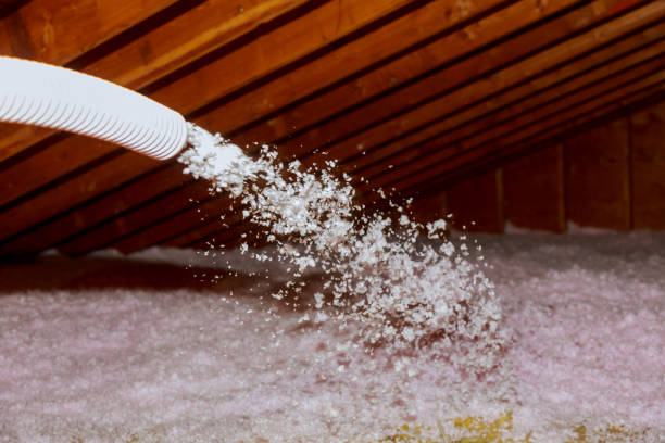 Best Cellulose Insulation in Arlington Heights, IL