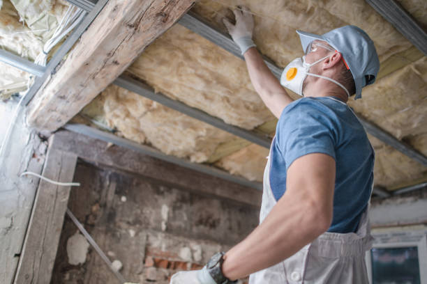 Trusted Arlington Heights, IL Insulation Contractor Experts