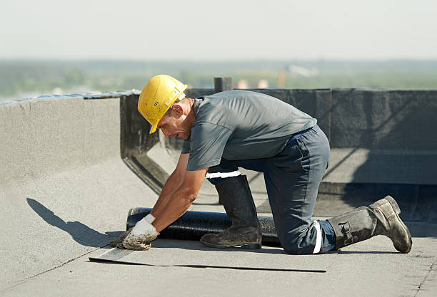 Best Geographic-Specific Insulation Services in Arlington Heights, IL